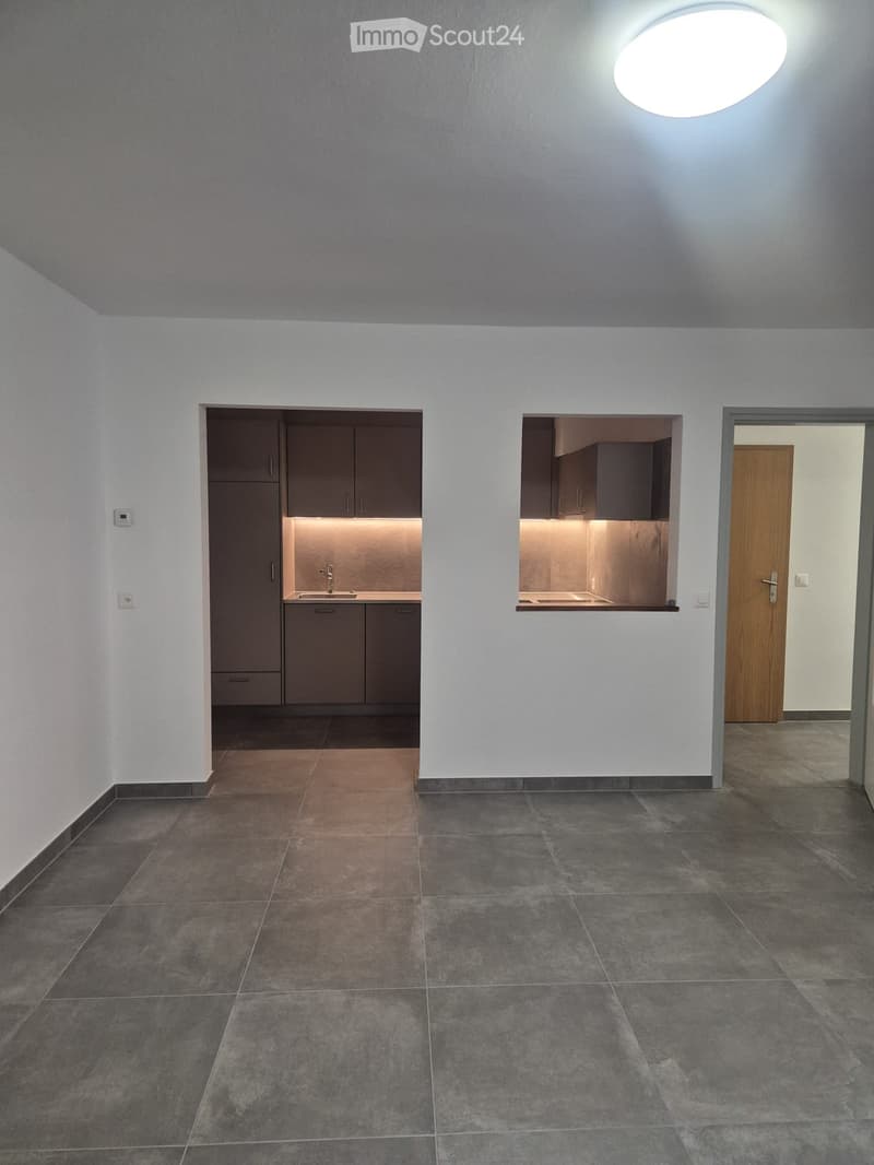 Completely renovated apartment (5)
