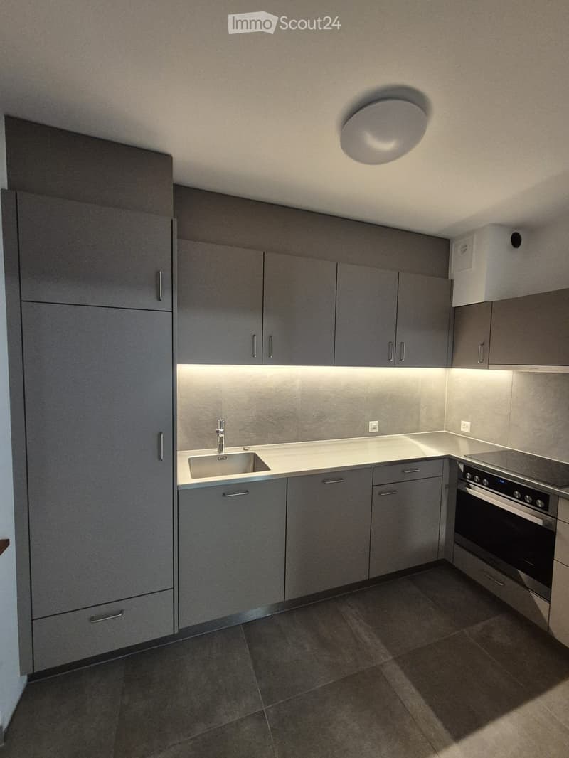 Completely renovated apartment (1)