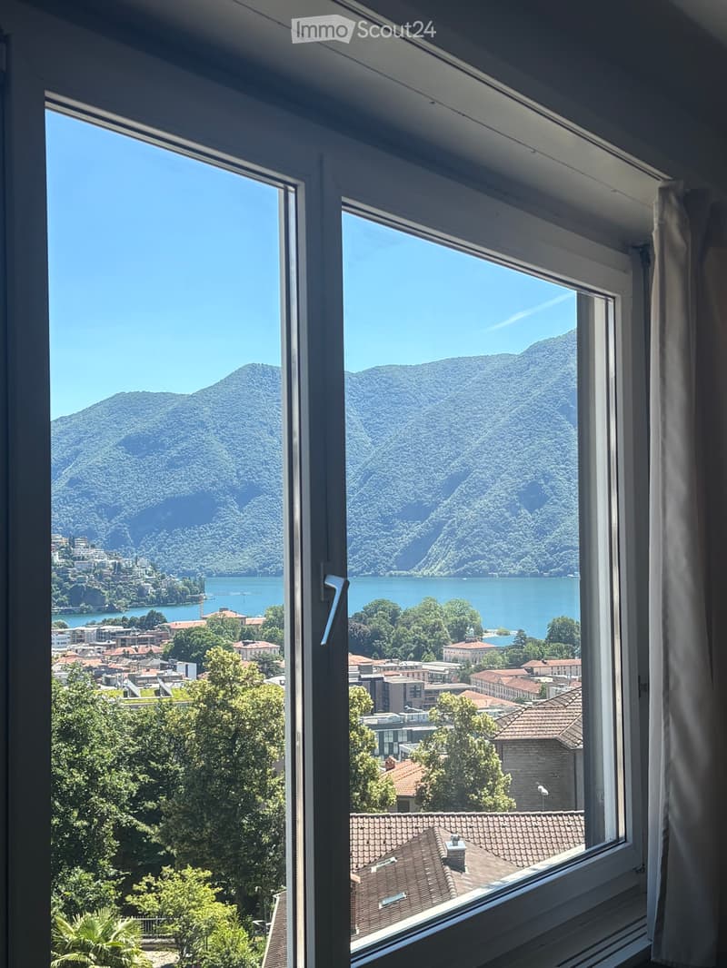 Opportunity to take over a splendid 1.5-room apartment in Massagno (1)