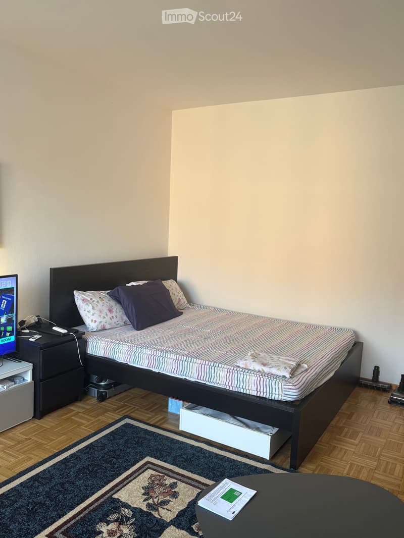 Opportunity to take over a splendid 1.5-room apartment in Massagno (3)