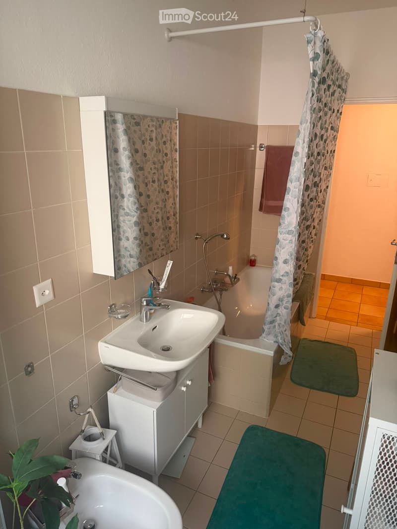 Beau Appartement (4)