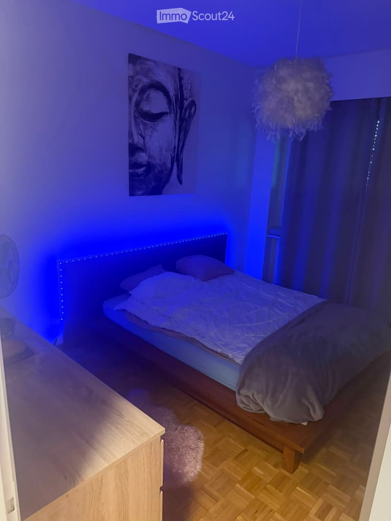 Beau Appartement (5)