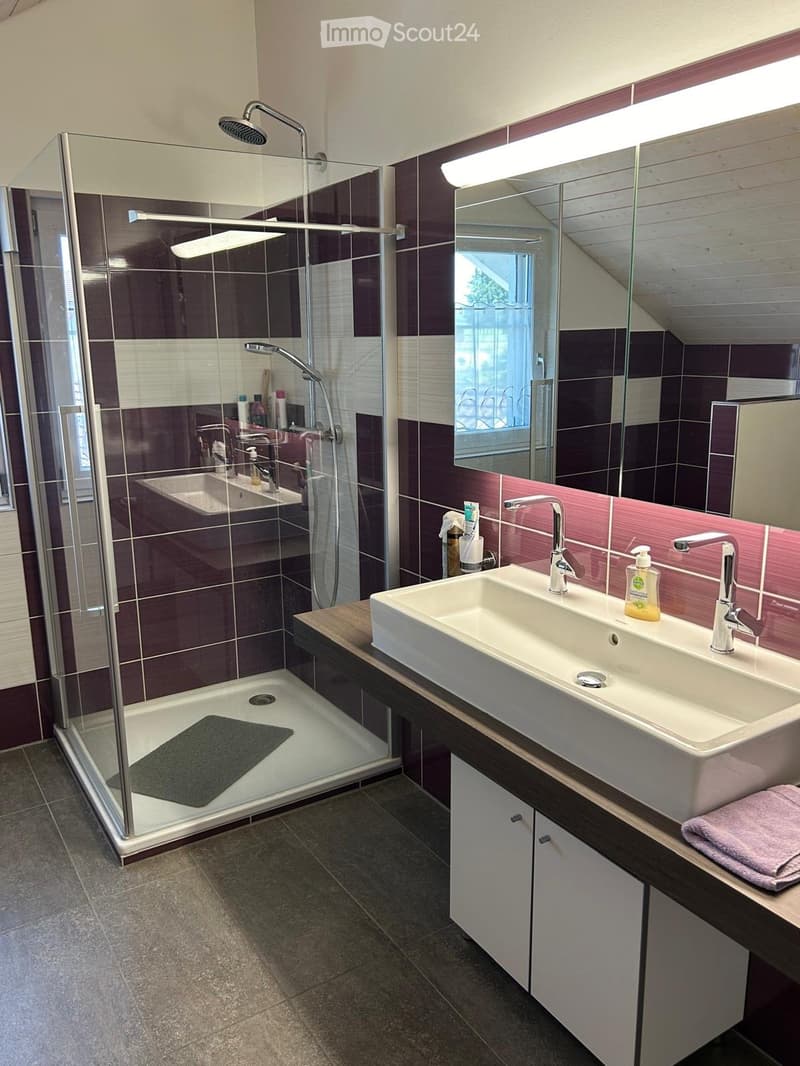 Charmante helle 4.5 Zimmer Dachwohnung (2)