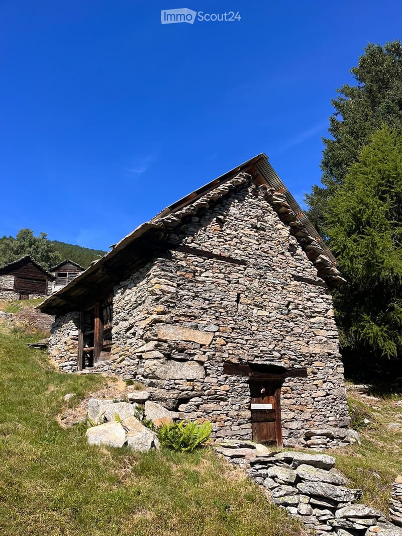 Rustikales Haus zur Renovierung (1)