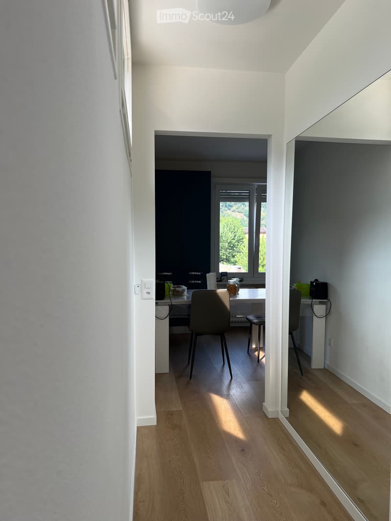 Ich suche eine Wohnung in Lamone zur Übernahme (5)