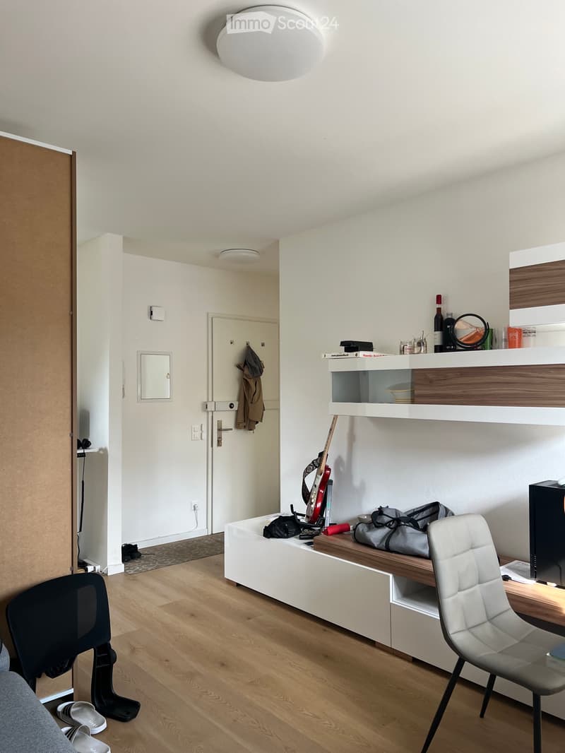 Ich suche eine Wohnung in Lamone zur Übernahme (6)