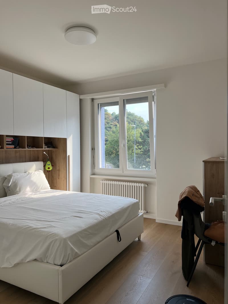 Ich suche eine Wohnung in Lamone zur Übernahme (1)