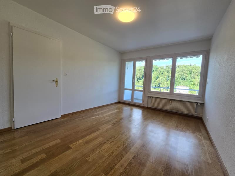 4.5-room apartment in a quiet location; First rental after renovation (2)
