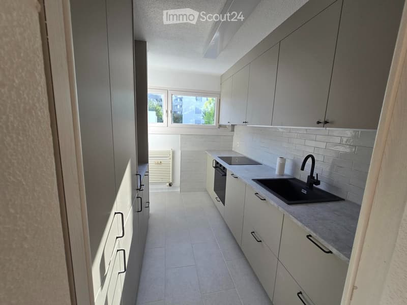 4.5-room apartment in a quiet location; First rental after renovation (5)