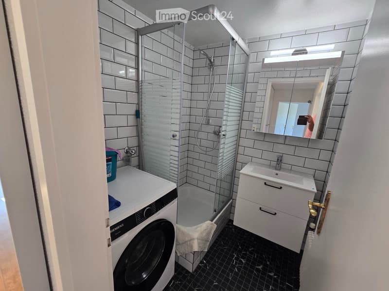 4.5-room apartment in a quiet location; First rental after renovation (4)