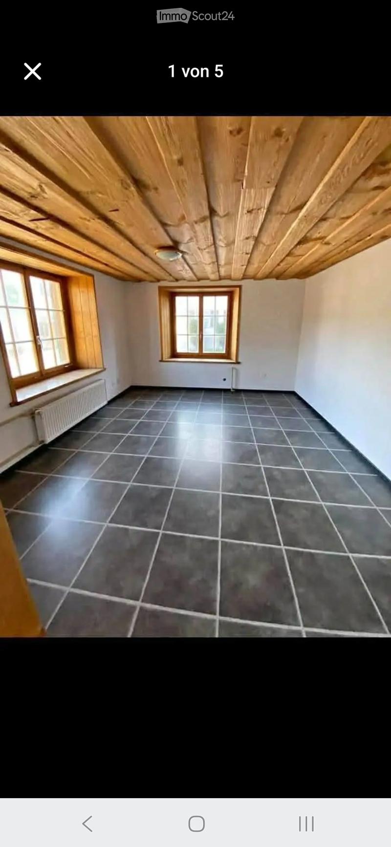 1½-Zimmer-Altbauwohnung Wohnen oder Arbeiten (1)