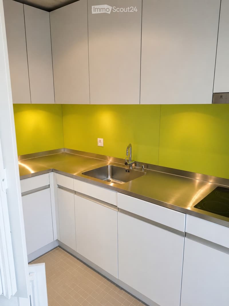 LUZERN Nachmieter per 1.9. gesucht (3)