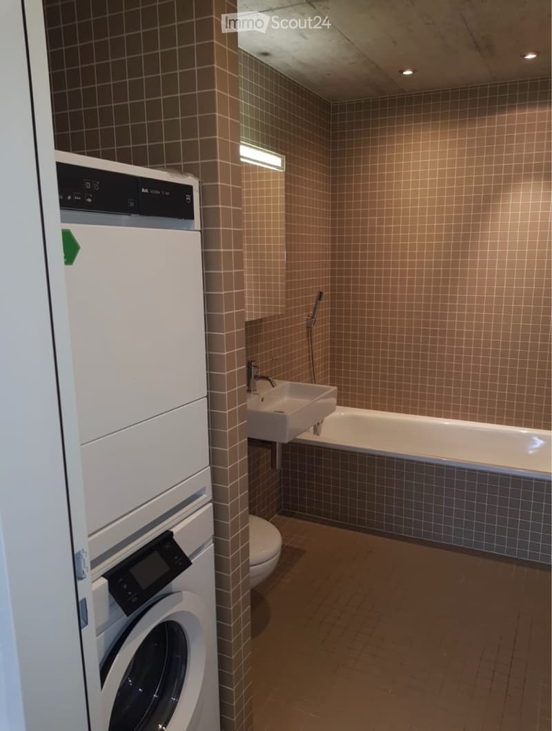 LUZERN Nachmieter per 1.9. gesucht (4)