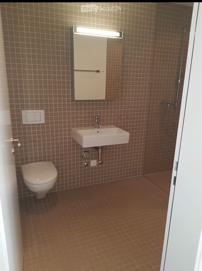 LUZERN Nachmieter per 1.9. gesucht (5)