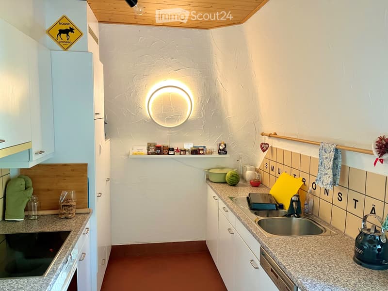 Furnished apartment, temporary sublet (12 months) (5)
