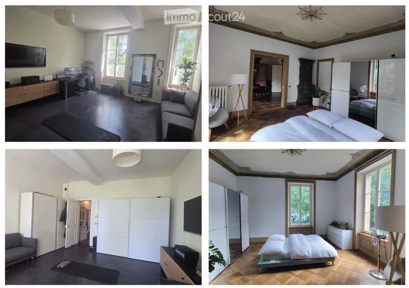 Traumhafte 4-Zimmer-Wohnung im Länggassquartier (3)