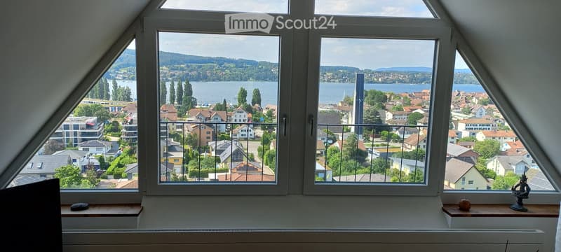 3-ZimmerWhg mit Panoramaseesicht über den Untersee (5)