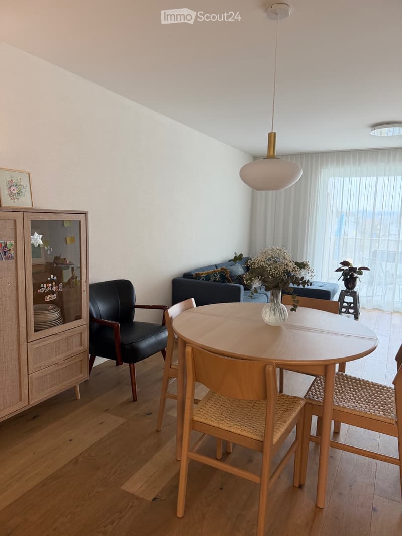 Appartamento pratico di 3.5 locali nel centro di Reiden (1)