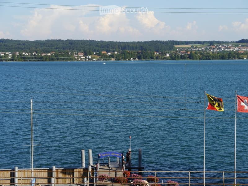 1.5 room apartment in Tüscherz on Lake Biel from 1.10.2026 (4)