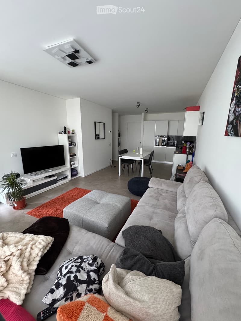 Sublet for 2.5 rooms in Camorino (2)