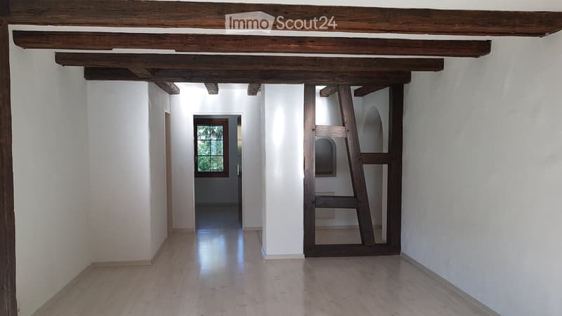 Beautiful 4.5 room apartment in Neerach (3)