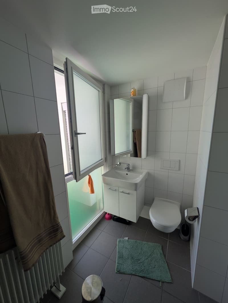 Appartement meublé avec 2 balcons pour septembre - novembre (5)