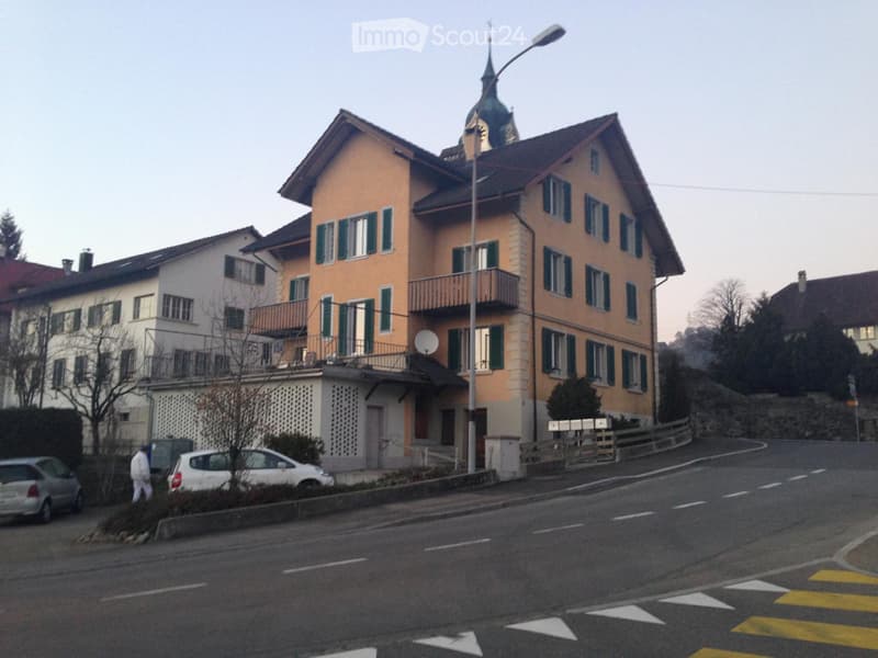 Günstige 5.5 Zi.-Whg in Triengen (5)