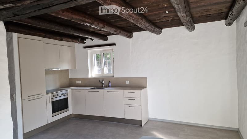 Renovated rustic house + adjacent rustic house to be renovated (2)