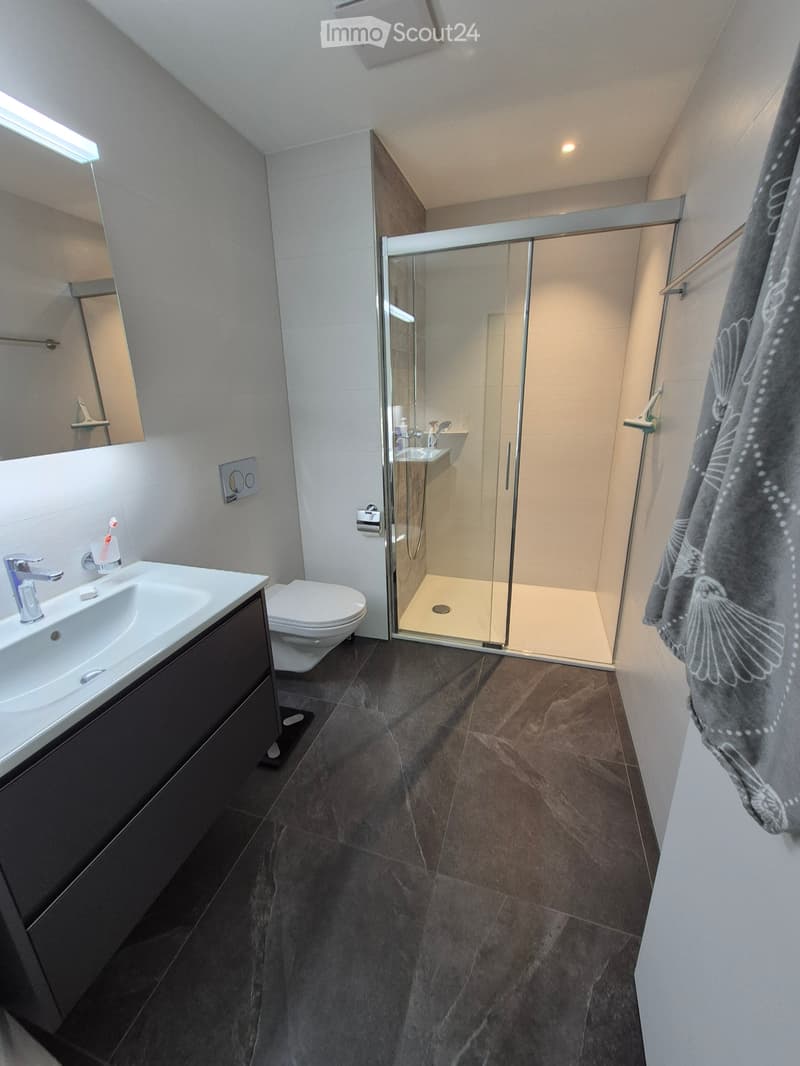 Chambre en colocation à louer sur arrangement (4)