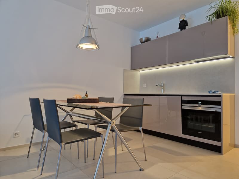 Modern 1-Room Apartment in Lugano Cadro (4)