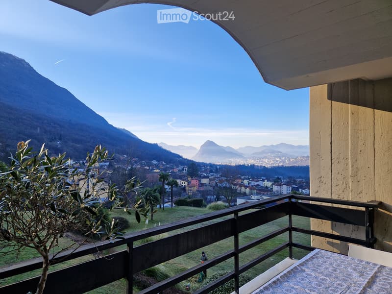 Modern 1-Room Apartment in Lugano Cadro (5)
