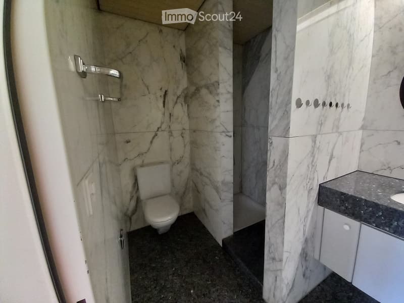 Grande appartamento in affitto (4)