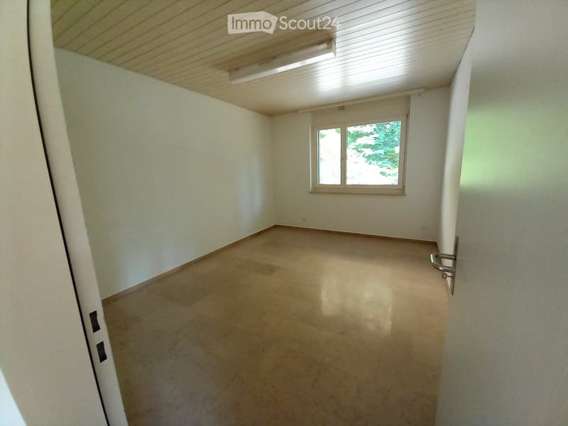 Grande appartamento in affitto (5)