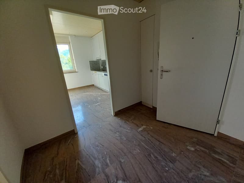 Grande appartamento in affitto (2)