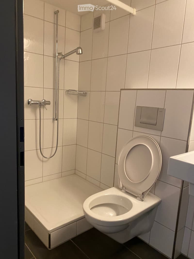 Büro oder Gewerberäume für stilles Gewerbe (4)