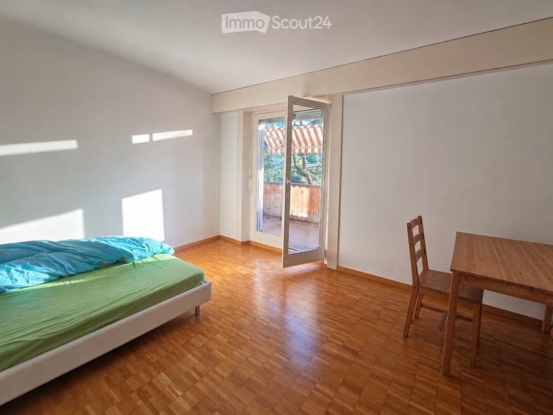 Familienfreundliche 4-Zimmer-Dachwohnung am Mattenbach (4)