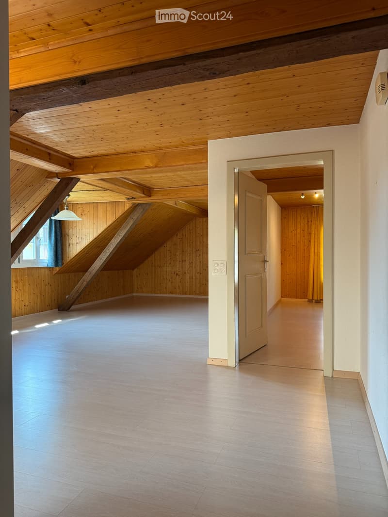 2 Zimmer Dachwohnung (2)