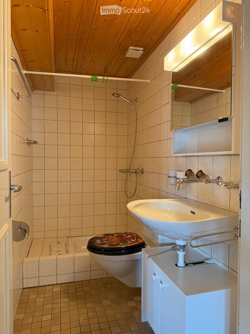 2 Zimmer Dachwohnung (3)