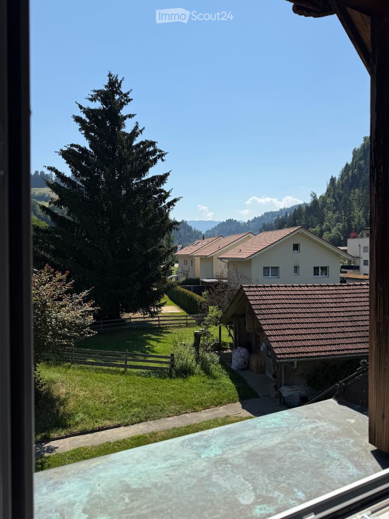 2 Zimmer Dachwohnung (4)
