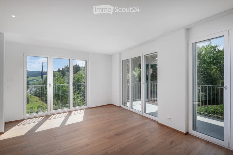 Modern new building single-family house with high-quality interior design (4)