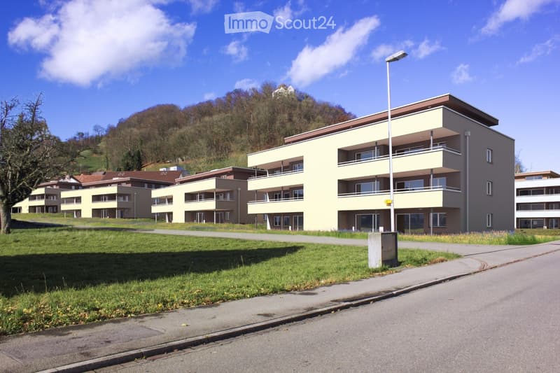 Tenant wanted for spacious, bright apartment (1)