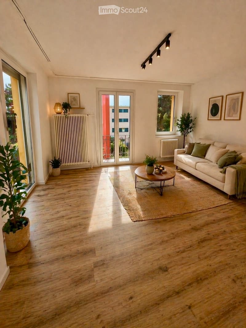 ASCONA centro 3 locali ristrutturati, prima locazione (3)