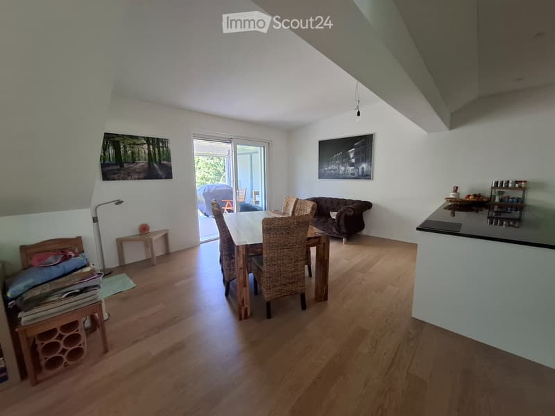 Bel appartement 5 ½ pièces avec une vue magnifique à louer (4)