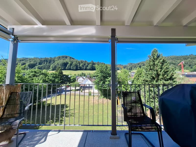 Bel appartement 5 ½ pièces avec une vue magnifique à louer (1)