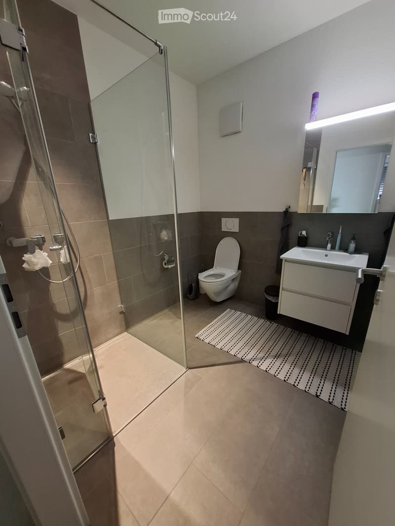 Bel appartement 5 ½ pièces avec une vue magnifique à louer (2)