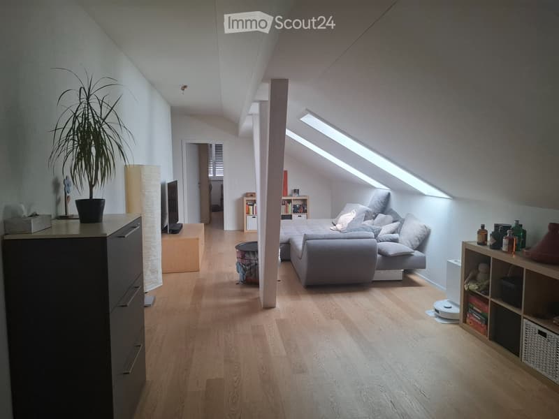 Bel appartement 5 ½ pièces avec une vue magnifique à louer (5)