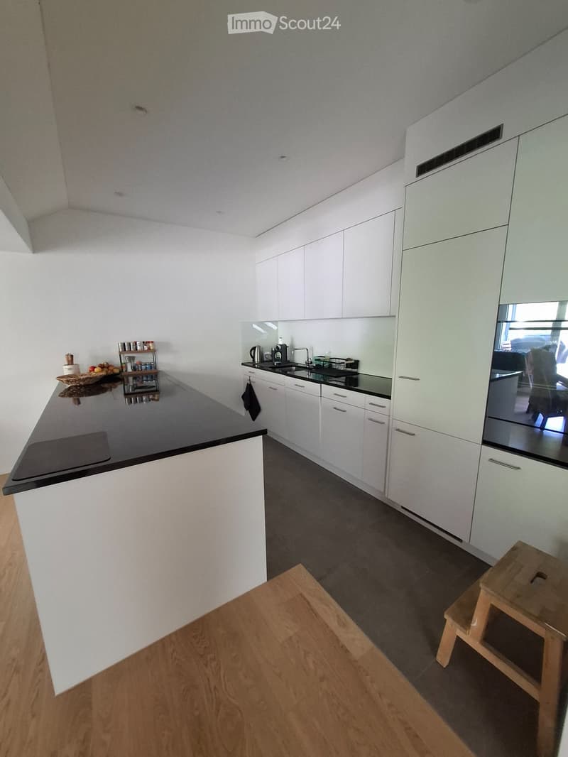 Bel appartement 5 ½ pièces avec une vue magnifique à louer (3)