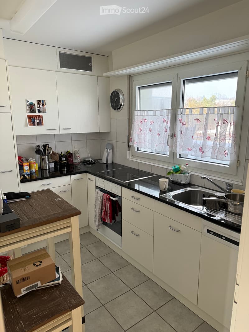 Furnished apartment for temporary rent (4)