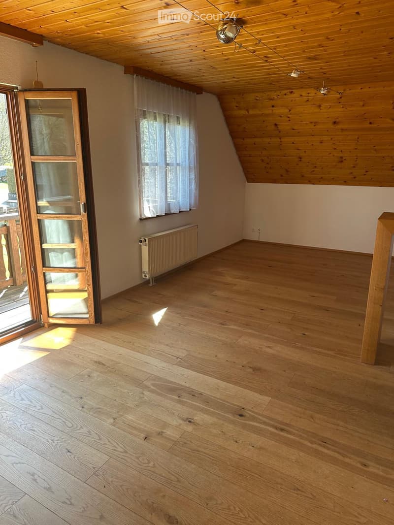 2-Zimmer Dachwohnung (1)
