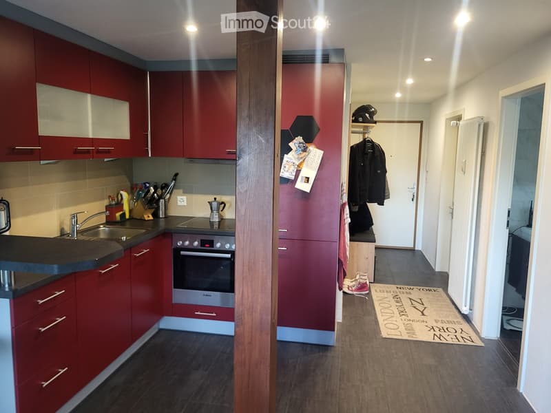 Tenant wanted! (4)